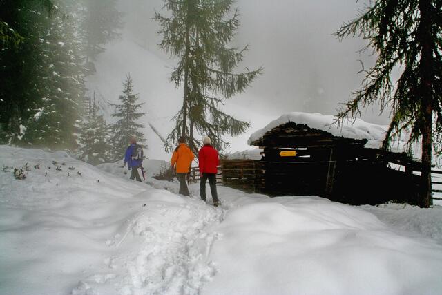 Durch Neuschnee zur Brandstatt-Alm