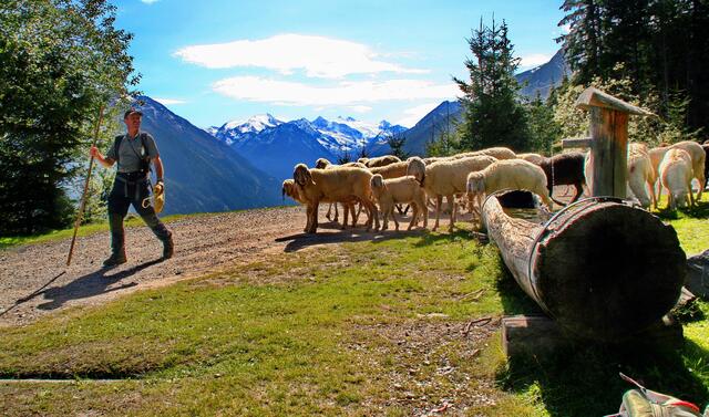 Wandergesellen beim Abstieg von der Stakenburger Hütte