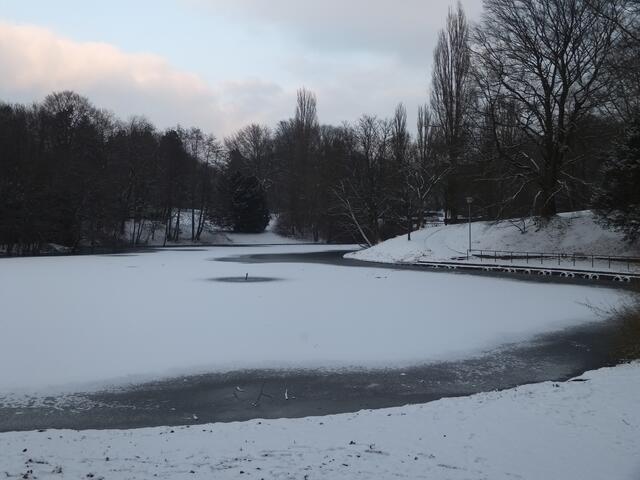 Blick auf den Gondelteich in nord-östlicher Richtung.