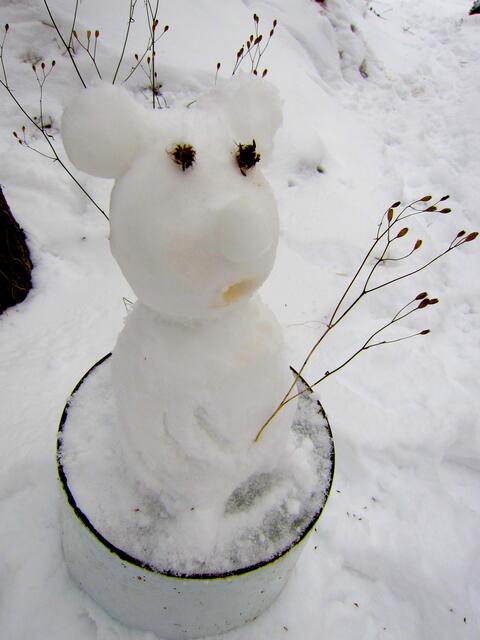 Für unsere Katzen habe ich am 23. Januar 2012 eine Schneemaus gebaut
