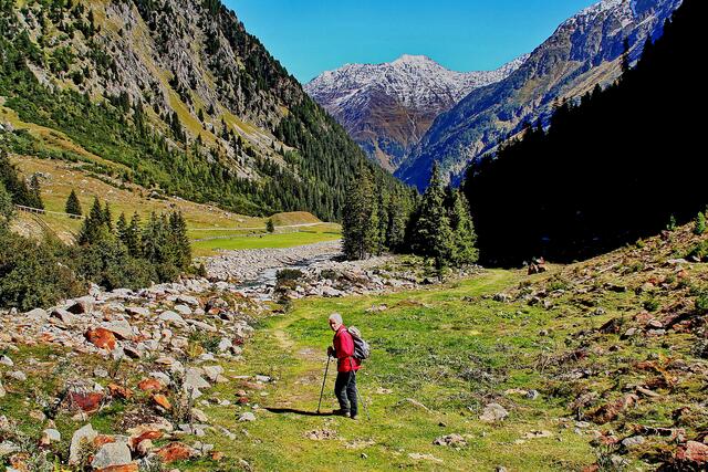 Von der Dresdner Hütte > Mutterberg Alm > durch das schöne Tal nach Neustift