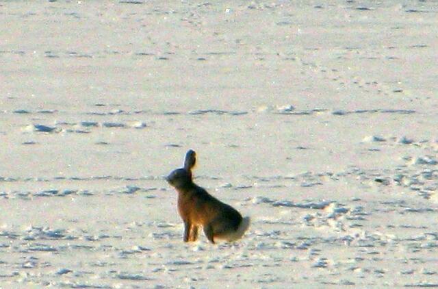 Ein Wetter zum Eierlegen!!