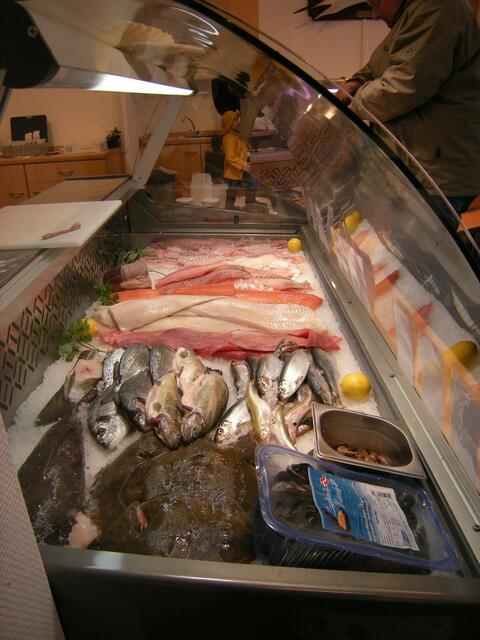 Frischfisch, verschiedene Sorten.