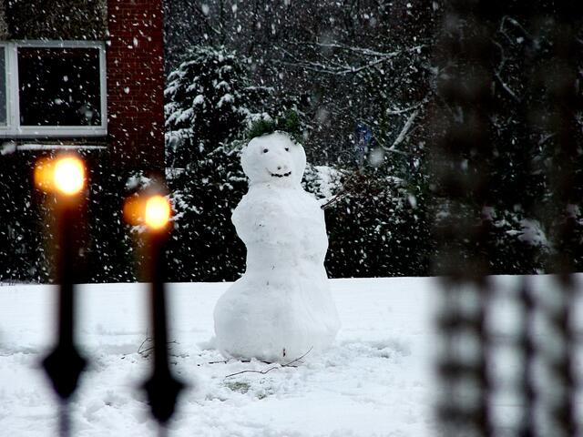 Blick aus dem Küchenfenster