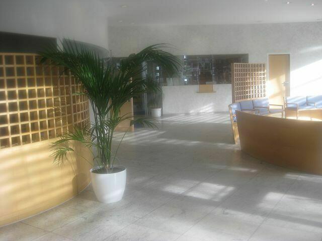 Eingangsbereich mit Rezeption