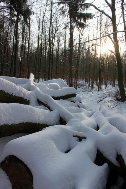 Holzstapel in der Sonne.