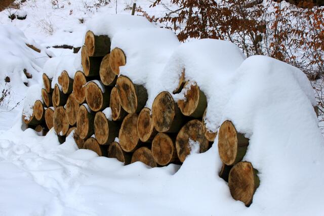 Am Wegesrand liegend warten die Holzstapel auf den Abtransport.