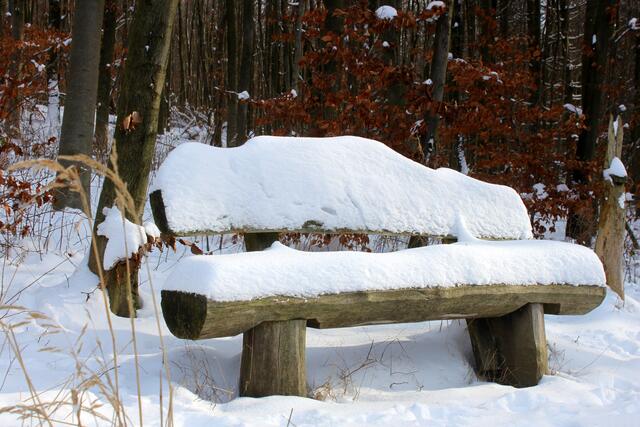 Die Schnee Idylle auf der Bank mochte kein Wanderer stören.