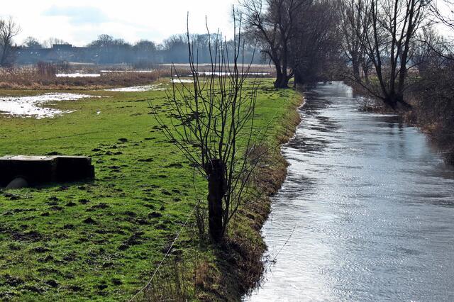 Links Röhricht- und Flachwassergebiet bei Klein Ilsede