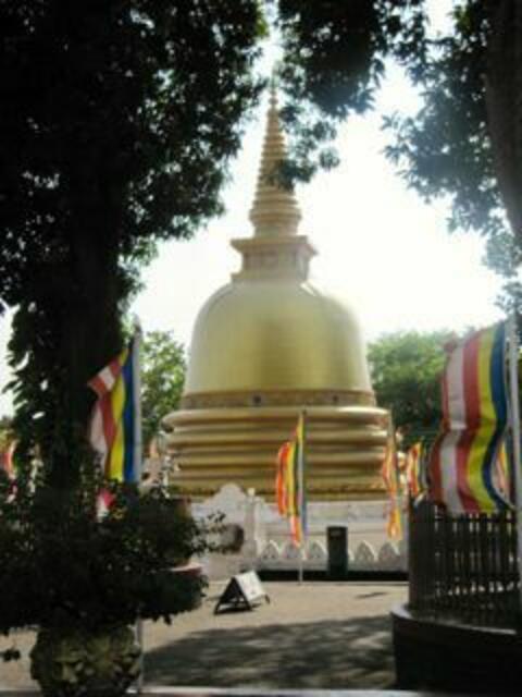 Dambula in Zentralsrilanka