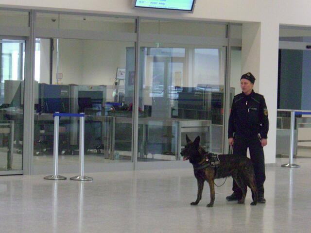 Polizeispürhund "feine Nase"