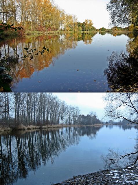 Vergleichsfoto; das Foto oben wurde am 19.10.2012 aufgenommen.