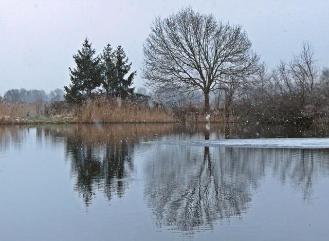 Leichter Schneeschauer (Alter Tagebau in Ilsede-Ölsburg)