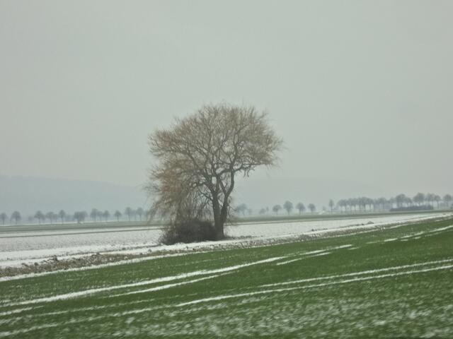Die Hügel des Deister im Hintergrund sind kaum zu erahnen - die nächsten Schneewolken sammeln sich schon