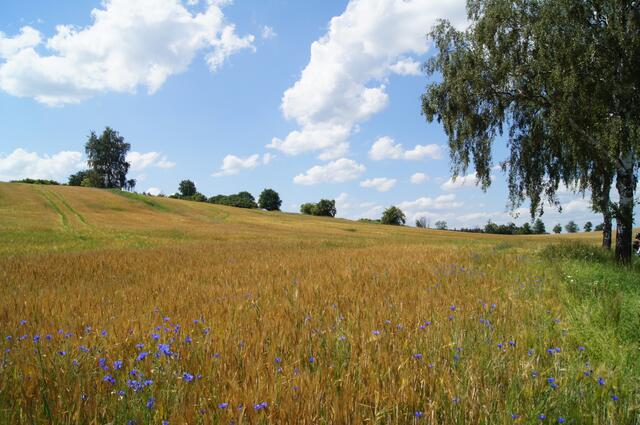 Bei Jihlava