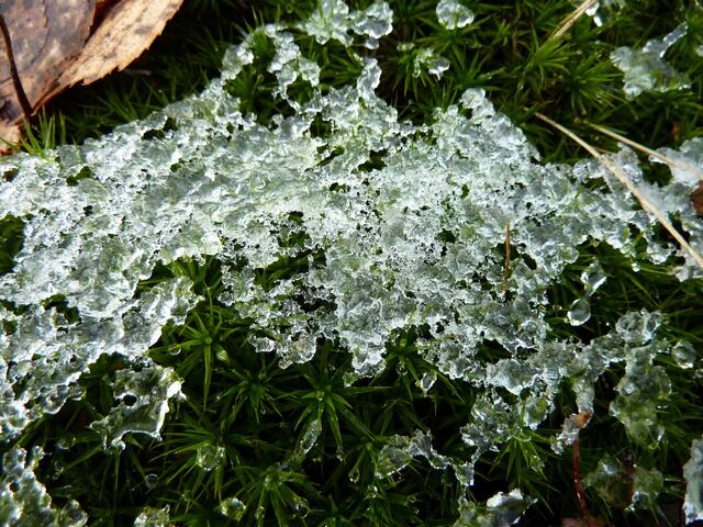Glitzernde Eisschicht