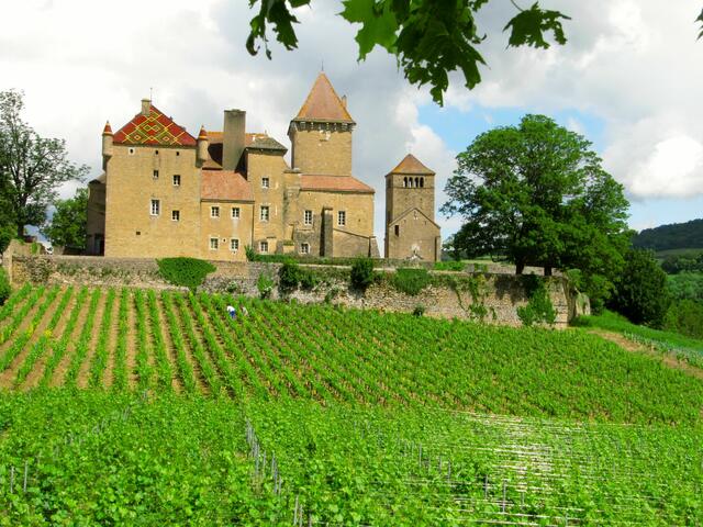 Wein und alte Burgen im Burgund