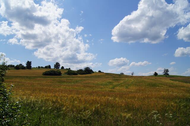Landschaft zwischen jhilava und Telc