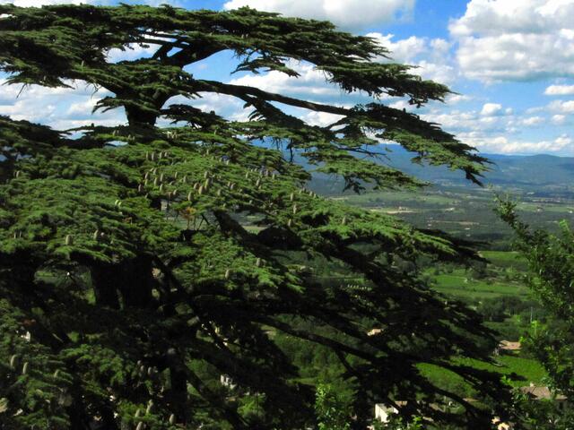 von der Burg von Marquis de Sade in Lacoste, oberhalb von Bonnieux, südfranzösischer Ort in der Region Provence-Alpes-Cote d'Azur