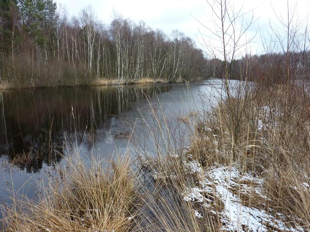 Der Moorsee ist teilweise mit einer dünnen Eisdecke bedeckt.