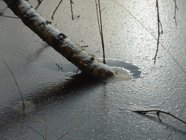 Hier sieht man, dass die Eisdecke hauchdünn ist.