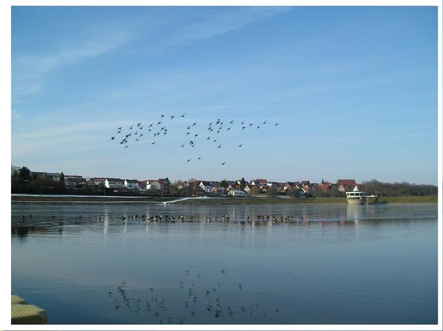 kreist überm See
