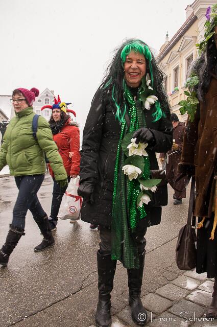 Friedberger Faschingszug 2013