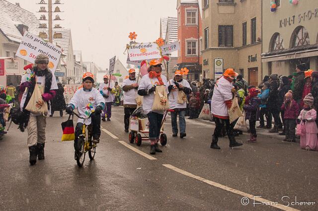 Friedberger Faschingszug 2013