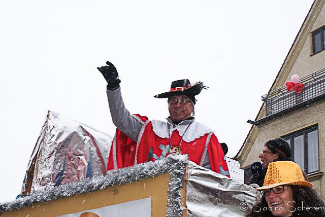 Friedberger Faschingszug 2013
