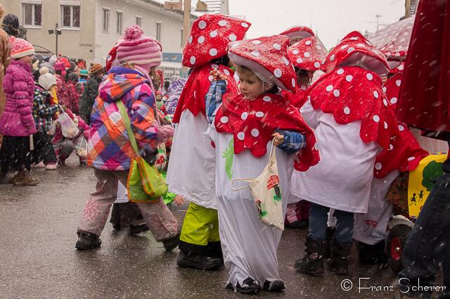 Friedberger Faschingszug 2013 - Klasse: Die Rinnenthaler Pilze