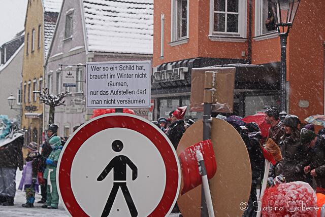 Friedberger Faschingszug 2013