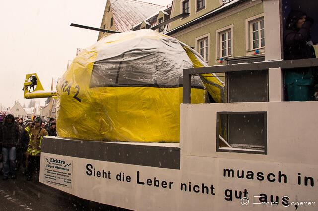 Friedberger Faschingszug 2013