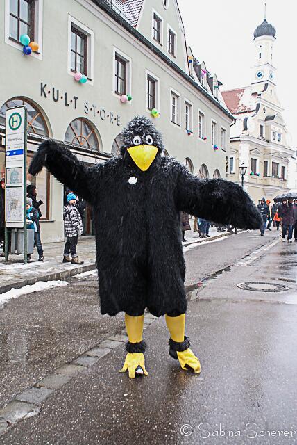 Friedberger Faschingszug 2013