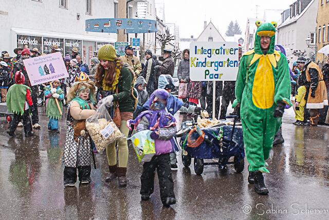 Friedberger Faschingszug 2013