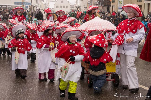 Friedberger Faschingszug 2013 - Klasse: Die Rinnenthaler Pilze