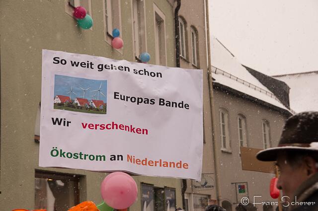 Friedberger Faschingszug 2013