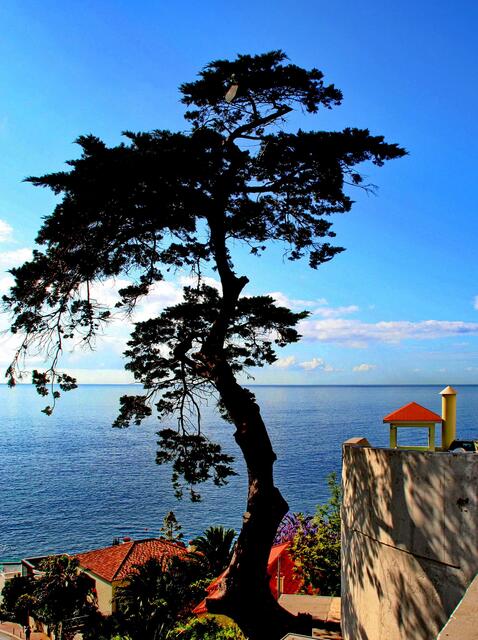 Funchal Blick aufs Meer