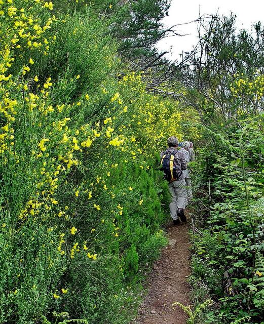 Eine Gratwanderung, was man durch die Vegetation nicht sieht, es ist für nicht schwindelfreie aber gut . Links ist die Nordküste und rechts die Südküste.