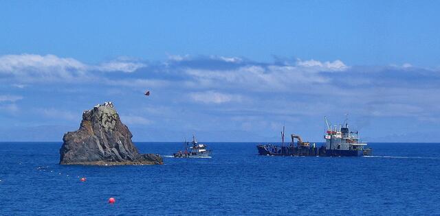 Schiffsverkehr vor Funchal