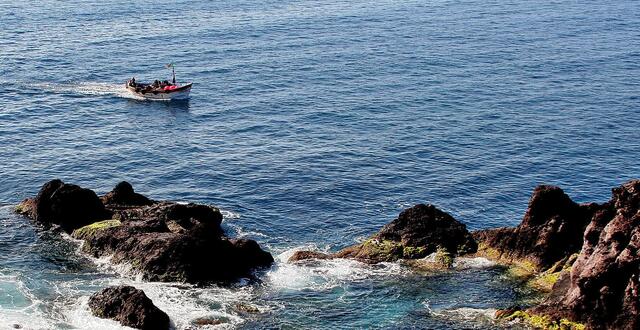 An der Küste in Funchal