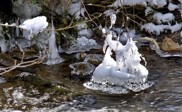 Eine Eisglockenbildung von vielen im Neumagen im Münstertal