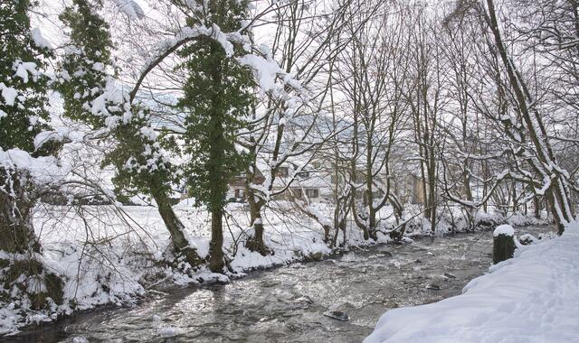 Der Neumagen im Münstertal