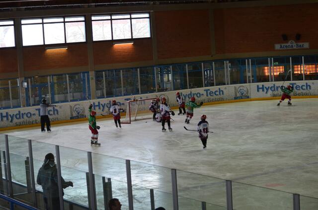 Torjubel der Pinguine