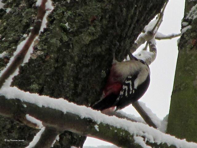 Aber auch hier ganz weit oben.