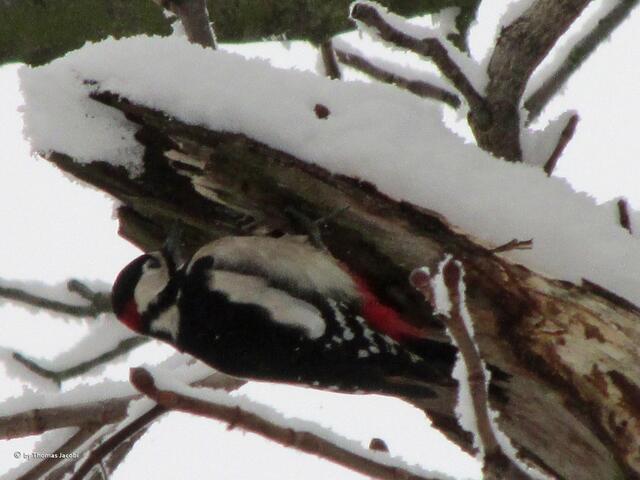 Vom Eisregen bekam er in diesem Moment nicht viel ab.