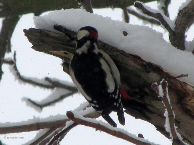Aber auf der Unterseite schien er etwas zu finden.
