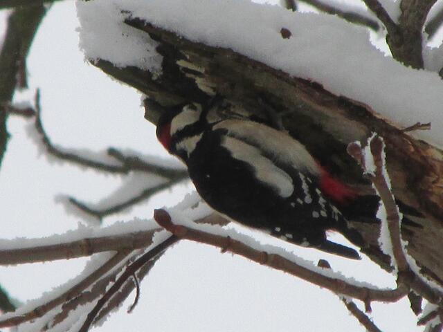 Er blieb recht lang an dieser Stelle.