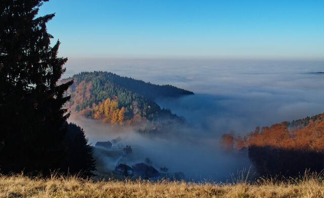 Blick vom Etzenbacher Höhenweg