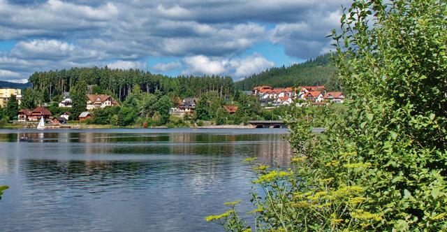 Der Schluchsee