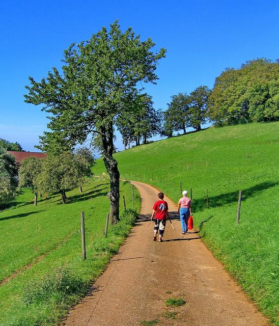 Auf dem Schönberg bei Freiburg